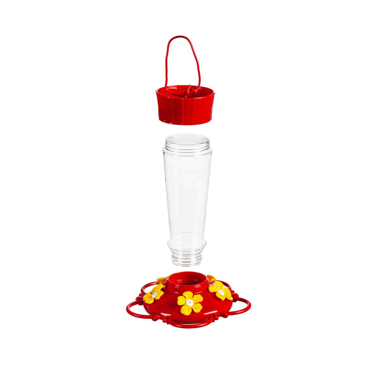 Petsmart shop hummingbird feeders